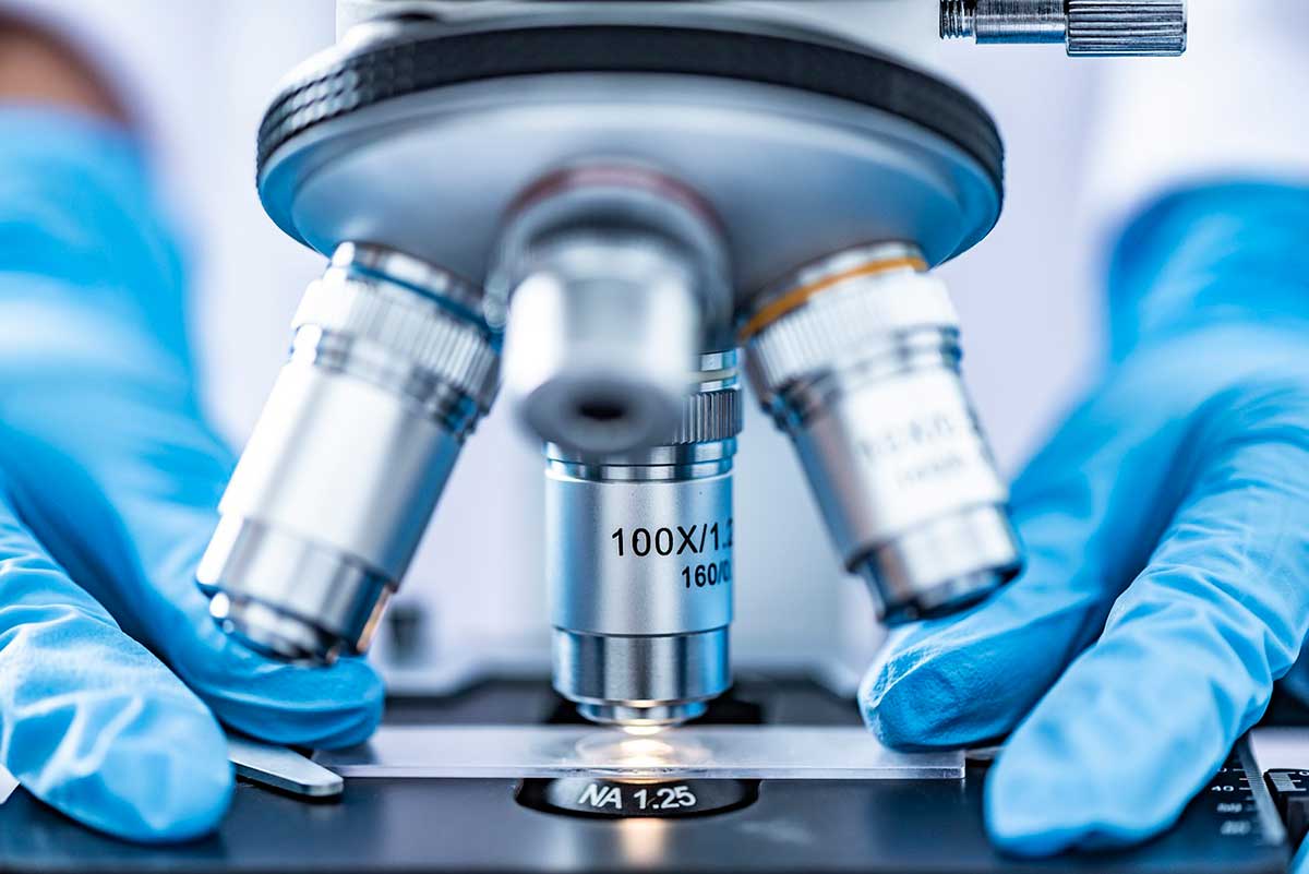 Nuevo auge de la biomedicina en España